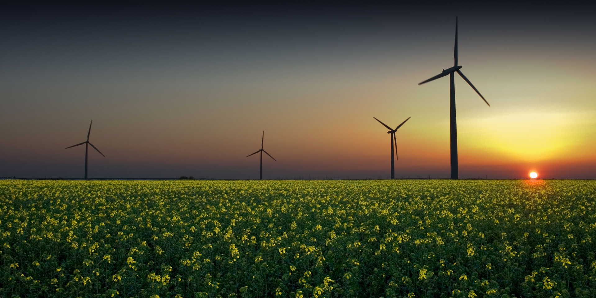 寧波高新區(qū)安立特電氣科技有限公司